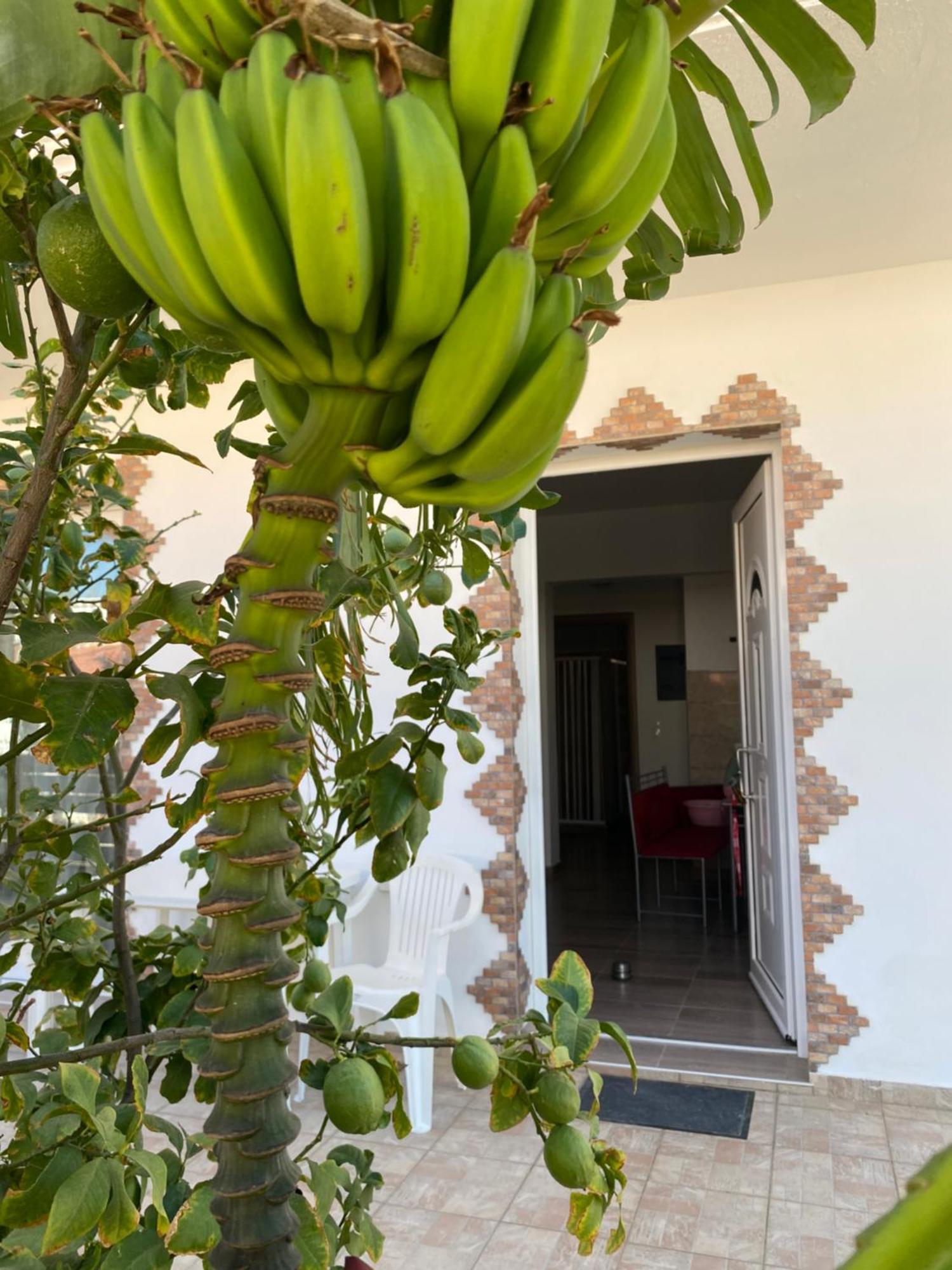 Tassos-Haus Villa Archangelos  Luaran gambar